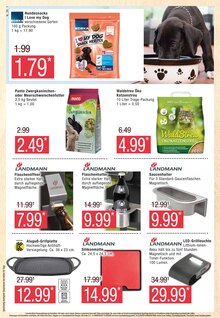 Waschmittel Angebot im Marktkauf Prospekt, gültig von 05.06.2023 bis 10.06.2023 Waschmittel Angebot im aktuellen Marktkauf Prospekt auf Seite 26