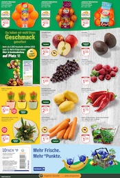 Mango im GLOBUS Prospekt in Hürth Aktueller GLOBUS Prospekt mit Mango, "Aktuelle Angebote", Seite 4