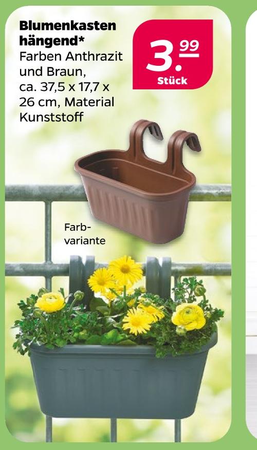 Blumenkasten hängend