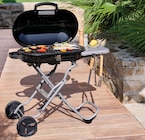 Barbecue pliant à charbon de bois Dublin - Dietrich Grill - Hyper U à Challans Barbecue pliant à charbon de bois Dublin - Dietrich Grill en promo chez Hyper U Challans à 159,00 €