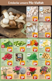 Ähnliche Rosenbogen Angebote im Prospekt "Dein Markt" von REWE in Fürth Ähnliche Angebote wie Rosenbogen im Prospekt "Dein Markt" auf Seite 7 von REWE in Fürth