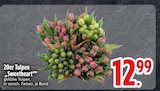 20er Tulpen "Sweetheart"  im aktuellen EDEKA Prospekt für 12,99 €