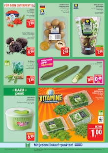 Trüffel im Marktkauf Prospekt "AUSWAHL RIESIG, PREISE NIEDRIG" mit 48 Seiten (Leipzig)