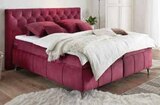 Boxspring-Bett bei Polstermöbel Fischer im Neuötting Prospekt für 899,00 €