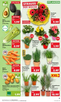 Blumen im Kaufland Prospekt "Aktuelle Angebote" mit 48 Seiten (Krefeld)