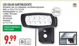 LED-SOLAR-GARTENLEUCHTE im Angebot bei Marktkauf in Münster LED-SOLAR-GARTENLEUCHTE Angebote von star bei Marktkauf Münster für 9,99 €