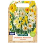 XXL-Blumenzwiebeln im Angebot bei ALDI Nord in Menden XXL-Blumenzwiebeln Angebote von Gardenline bei ALDI Nord Menden für 3,49 €