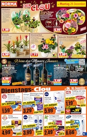 Aktueller Norma Prospekt mit Rotwein, "Mehr fürs Geld", Seite 9