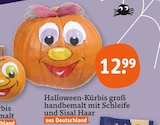 Halloween-Kürbis groß im Angebot bei tegut in Suhl Halloween-Kürbis groß Angebote bei tegut Suhl für 12,99 €