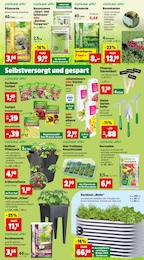 Obst Angebot im aktuellen Thomas Philipps Prospekt auf Seite 3