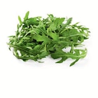 Rucola für 0,99 € bei Lidl im Angebot Rucola im aktuellen Lidl Prospekt