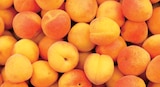 Abricots spécial confiture à Norma dans Wolfisheim Abricots spécial confiture à Norma dans Wolfisheim