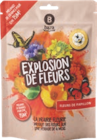 Explosion de fleurs - BAZA dans le catalogue Aldi