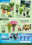 Schnittblumen Schnittblumen