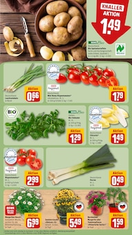 Blumen im REWE Prospekt "Dein Markt" mit 20 Seiten (Augsburg)