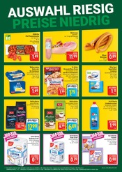 Ähnliche Autoradio Angebote im Prospekt "AUSWAHL RIESIG, PREISE NIEDRIG" von Marktkauf in Erlangen Ähnliche Angebote wie Autoradio im Prospekt "AUSWAHL RIESIG, PREISE NIEDRIG" auf Seite 2 von Marktkauf in Erlangen