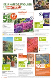 Hortensia Angebote im Prospekt "J'AIME PLANTER LE DÉCOR" von Jardiland auf Seite 6