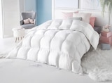 Couette plumes d’oie 500 gsm dans le catalogue La Foir’Fouille