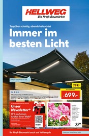 Aktueller Hellweg Baumarkt Prospekt in Turnow-Preilack und Umgebung, "Die Profi-Baumärkte" mit 24 Seiten, 19.05.2025 - 24.05.2025