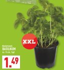 Basilikum Angebote bei Marktkauf Dülmen für 1,49 €