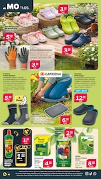 Gartenerde Angebot im aktuellen Netto mit dem Scottie Prospekt auf Seite 16