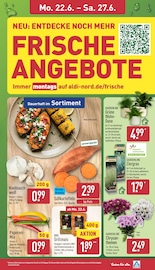 Pflanzen im ALDI Nord Prospekt in Lutherstadt Wittenberg Aktueller ALDI Nord Prospekt mit Pflanzen, "Aktuelle Angebote", Seite 3
