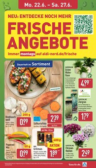 ALDI Nord Prospekt der aktuellen Woche, gĂĽltig von 22.06.2026 bis 27.06.2026 Aktueller ALDI Nord Prospekt "Aktuelle Angebote" mit 41 Seiten
