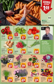 Ähnliche Stiefmütterchen Angebote im Prospekt "Dein Markt" von REWE in Darmstadt Ähnliche Angebote wie Stiefmütterchen im Prospekt "Dein Markt" auf Seite 9 von REWE in Darmstadt