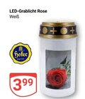 LED-Grablicht Rose im Angebot bei GLOBUS in Amberg LED-Grablicht Rose Angebote bei GLOBUS Amberg für 3,99 €