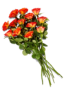 Aktuelle Blumen Angebote bei Kaufland in Erfurt Aktuelles Fairer Strauß Angebot bei Kaufland in Erfurt ab 5,49 €