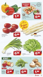 Spargel im famila Nordwest Prospekt in Lingen Aktueller famila Nordwest Prospekt mit Spargel, "Markt - Angebote", Seite 5