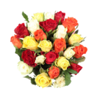 Rainbow-Rosen  im aktuellen ALDI SÜD Prospekt für 6,99 €