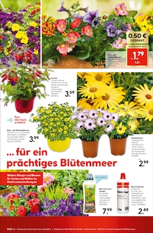 Blumen im Hellweg Prospekt "Bunte Blumenvielfalt" mit 20 Seiten (Siegen (Universitätsstadt))