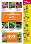 Plantes Plantes