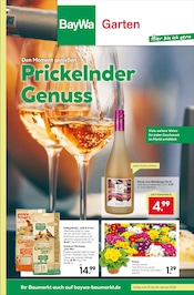 Aktueller BayWa Bau- und Gartenmärkte Prospekt mit Tierfutter, "Prickelnder Genuss", Seite 1