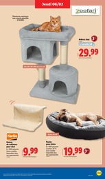 Offre Arbre À Chat dans le catalogue Lidl du moment à la page 43