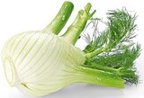 Fenchel im Angebot bei REWE in Bünde Fenchel Angebote bei REWE Bünde für 1,99 €