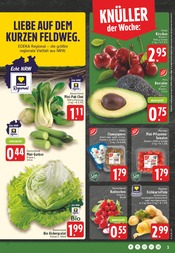 Tomaten im EDEKA Prospekt in Herford Aktueller EDEKA Prospekt mit Tomaten, "Aktuelle Angebote", Seite 3