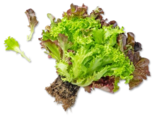 Dtsch. Multicolor-Salat für 0,99 € bei Kaufland im Angebot Dtsch. Multicolor-Salat im aktuellen Kaufland Prospekt