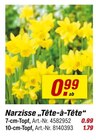 Narzisse "Tête-à-Tête" Angebote bei toom Baumarkt Leonberg für 0,99 €