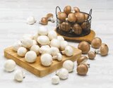 U Express Saint-Félix - Promo Champignon blanc ou blond de paris pied entier Promo Champignon blanc ou blond de paris pied entier à 1,99 € dans le catalogue U Express à Saint-Félix