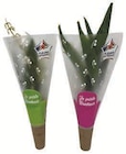 Muguet 3 brins + 1 feuille - U Express à Aix-en-Provence Muguet 3 brins + 1 feuille en promo chez U Express Aix-en-Provence à 2,99 €