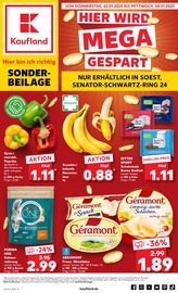 Aktueller Kaufland Prospekt mit Käse, "Sonderbeilage", Seite 1