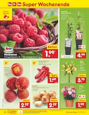 Dekoration im Netto Marken-Discount Prospekt in Ansbach Aktueller Netto Marken-Discount Prospekt mit Dekoration, "Aktuelle Angebote", Seite 52
