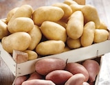 Pomme de terre de consommation à chair ferme - INTERMARCHÉ TERROIRS dans le catalogue Intermarché Super
