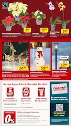 Orchidee Angebot & Preis im aktuellen toom Baumarkt Prospekt Orchidee Angebot im aktuellen toom Baumarkt Prospekt auf Seite 2