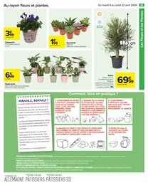 Offre Plante Succulente dans le catalogue Carrefour du moment à la page 33