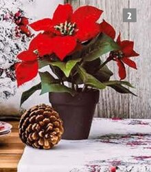Weihnachtsraumdekoration bei porta Möbel Weihnachtsraumdekoration für 7,95 € bei porta Möbel im Prospekt "Zuhause ist da, wo Weihnachten am schönsten ist!"