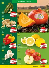 Netto Marken-Discount Paprika-Mix im Prospekt 