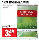Wreesmann Dessau-Roßlau - RASENSAMEN Angebot im Prospekt RASENSAMEN bei Wreesmann im Dessau-Roßlau Prospekt für 3,49 €